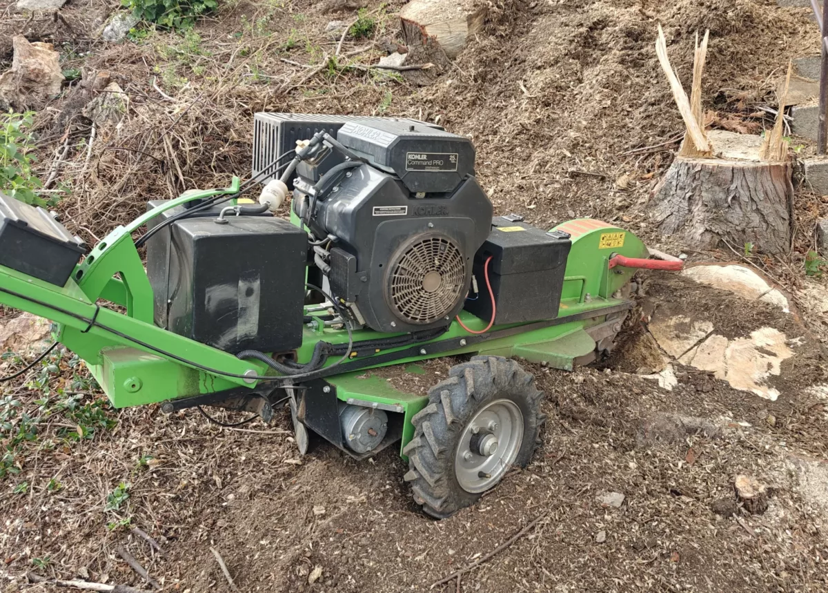 Baumstumpf Entfernen