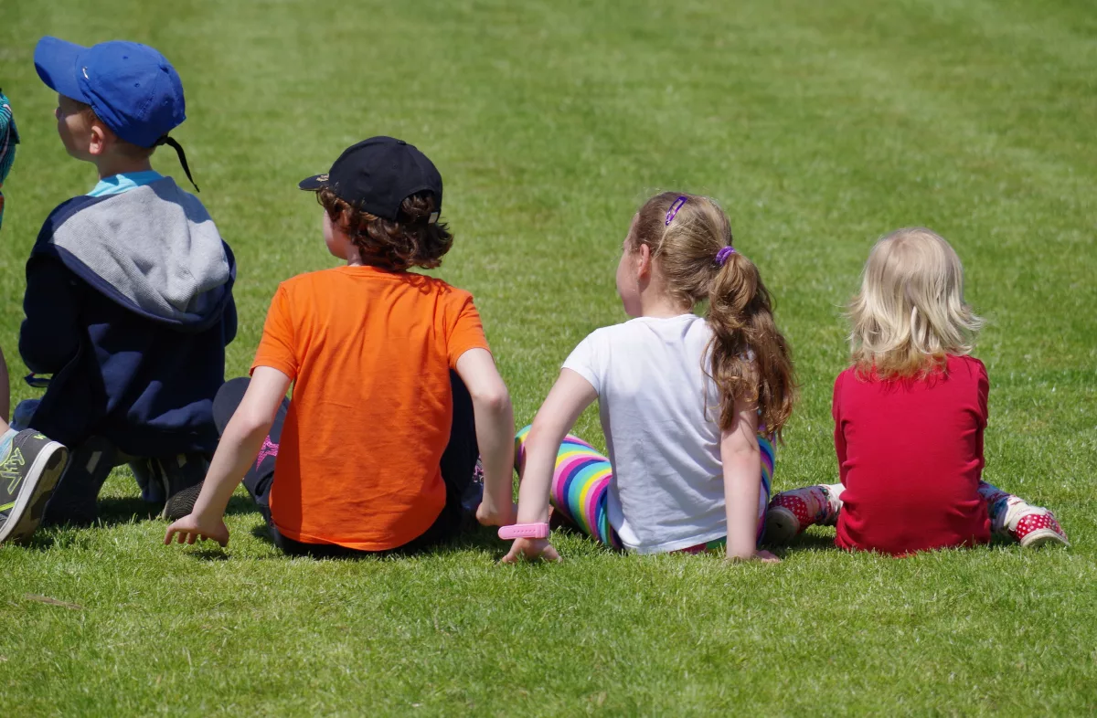 Welche Samen für welchen Zweck?
